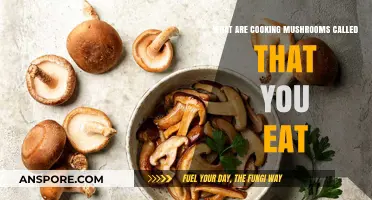 Edible Cooking Mushrooms: A Guide to Delicious Culinary Varieties
