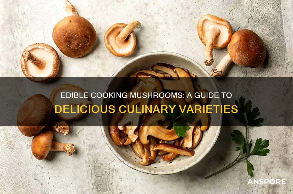 what are cooking mushrooms called that you eat