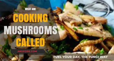 Unveiling the Culinary Names of Edible Mushrooms in Cooking