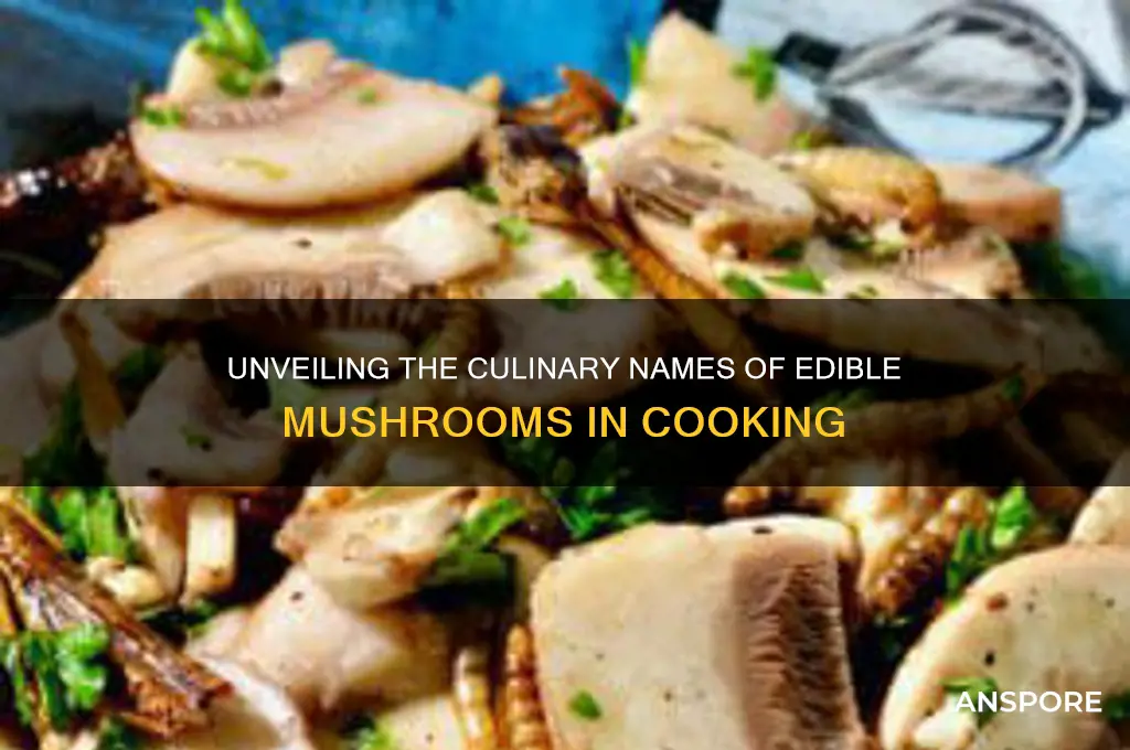 what are cooking mushrooms called
