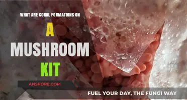 Understanding Coral Formations in Mushroom Kits: Causes and Solutions