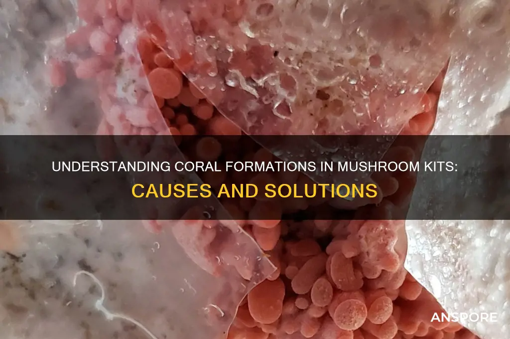 what are coral formations on a mushroom kit
