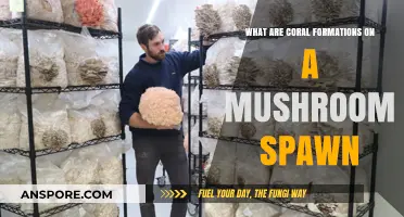 Understanding Coral Formations on Mushroom Spawn: Causes and Solutions