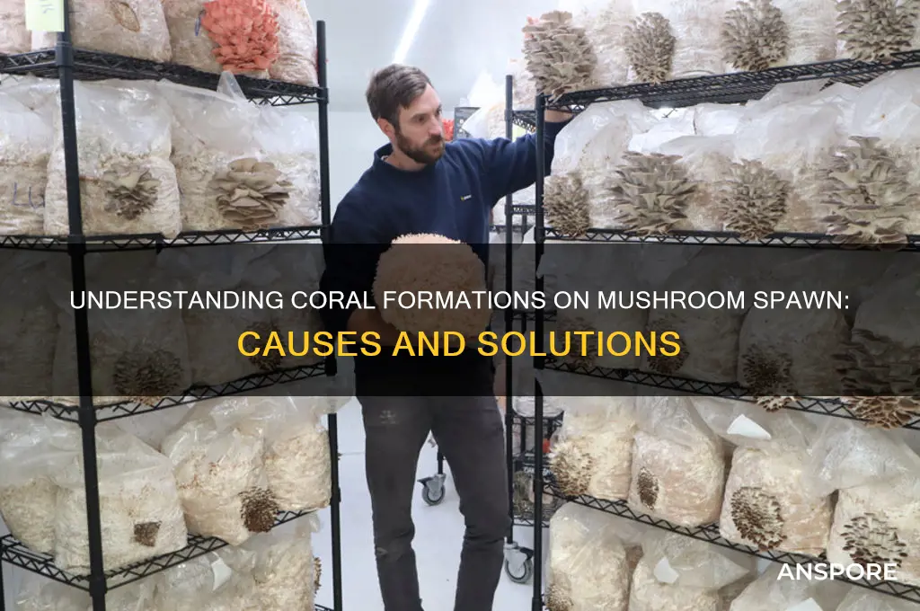 what are coral formations on a mushroom spawn