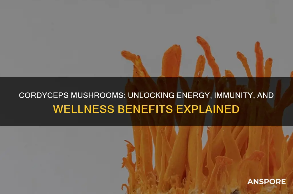 what are cordycep mushrooms good for