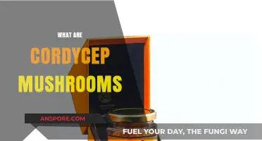 Cordyceps Mushrooms: Nature's Ancient Superfood