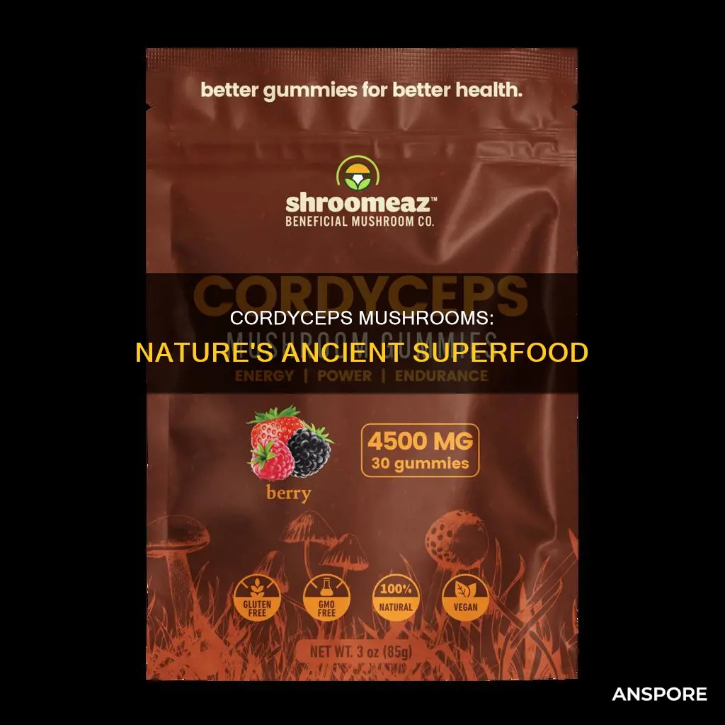 what are cordycep mushrooms