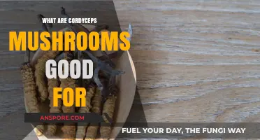 Cordyceps Mushrooms: Unlocking Health Benefits and Wellness Potential