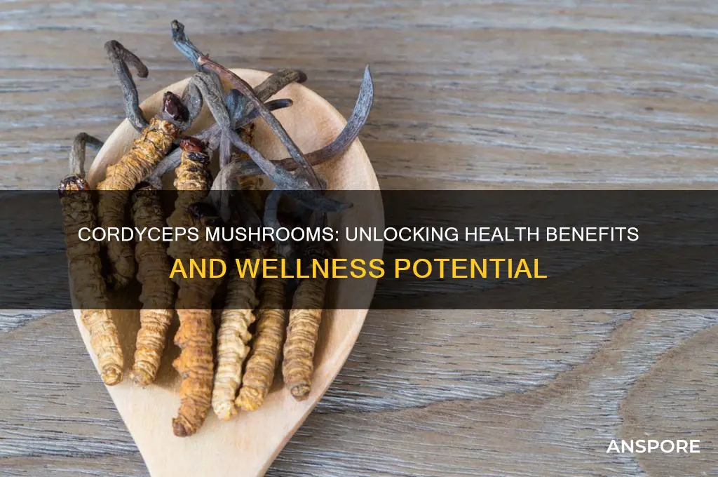 what are cordyceps mushrooms good for