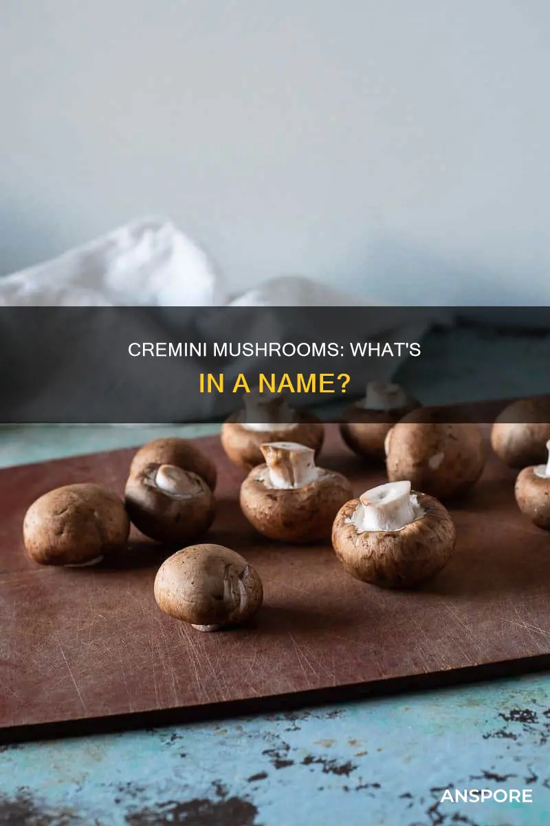 what are cremini mushrooms called