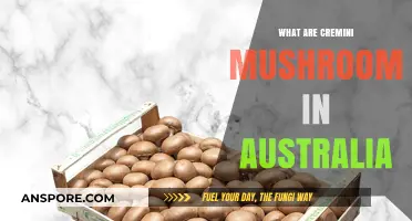Discovering Cremini Mushrooms: A Guide to Their Role in Australia