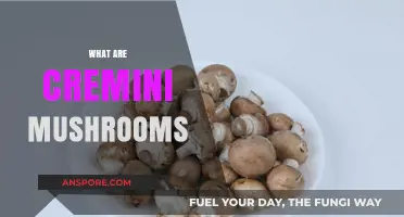 Cremini Mushrooms: What They Are and Why You Need Them