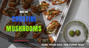 Crostini Mushrooms: A Tasty Appetizer