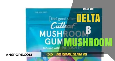 Explore the World of Delta-8 Mushrooms