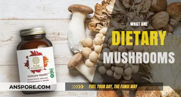 Mushroom Magic: Nature's Dietary Superfood