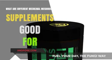 Medicinal Mushroom Supplements: Health Benefits and Uses Explained