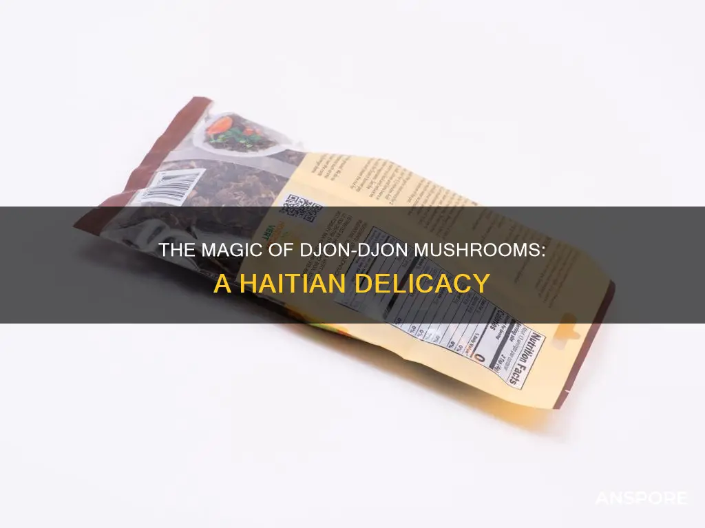 what are djon-djon mushrooms