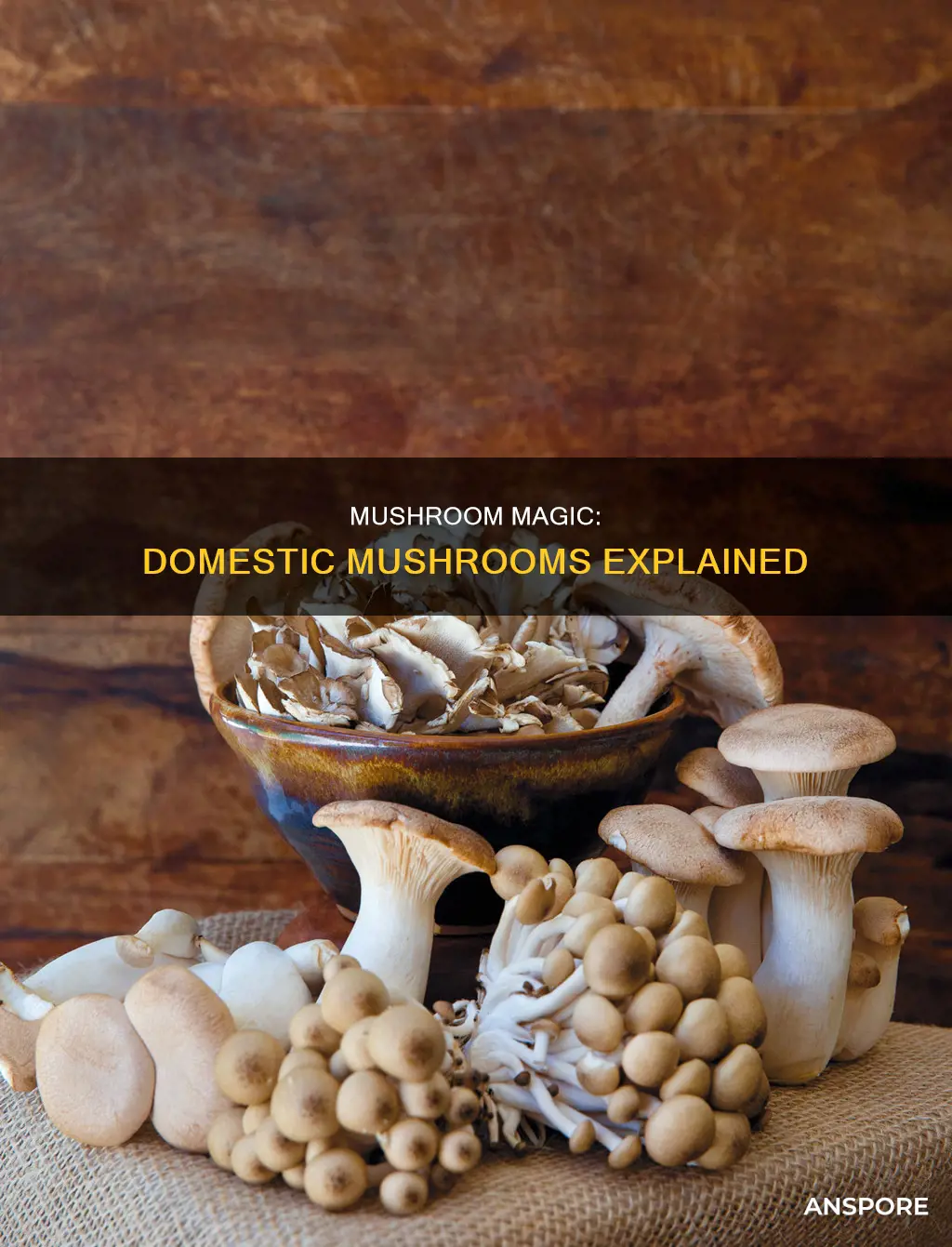 what are domestic mushrooms