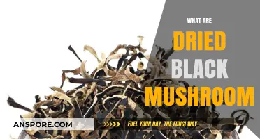 Black Mushrooms: Dried Delicacy for Rich Umami Flavour