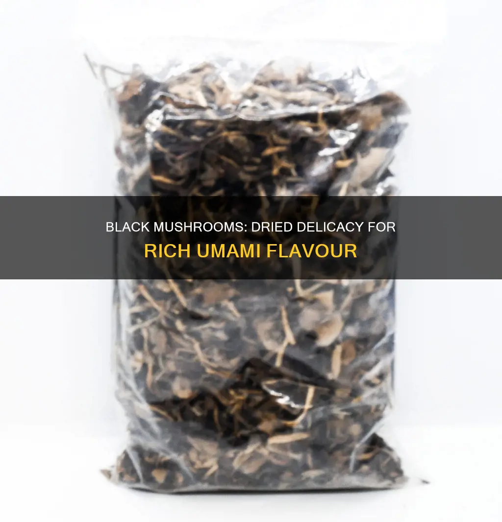 what are dried black mushrooms