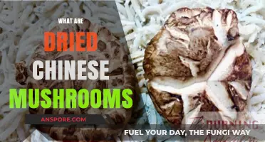 Chinese Mushrooms: Dried Delicacy, Ancient Tradition