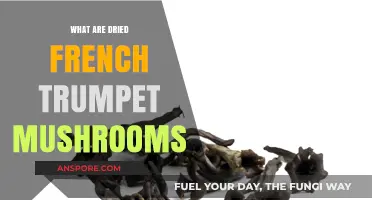 Discovering Dried French Trumpet Mushrooms: A Culinary Treasure Unveiled