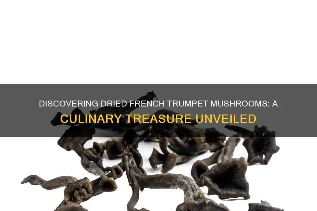 what are dried french trumpet mushrooms