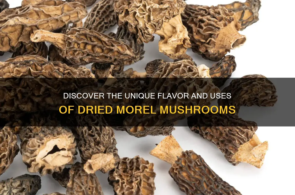 what are dried morel mushrooms