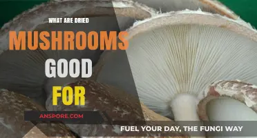 Discover the Surprising Health Benefits of Dried Mushrooms Today