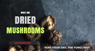 Mushroom Magic: Dried 'Shrooms, Explained