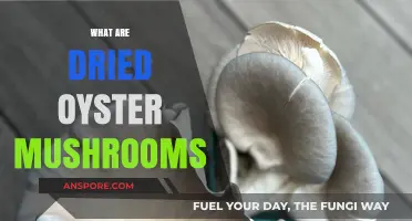 Dried Oyster Mushrooms: A Tasty, Healthy Treat