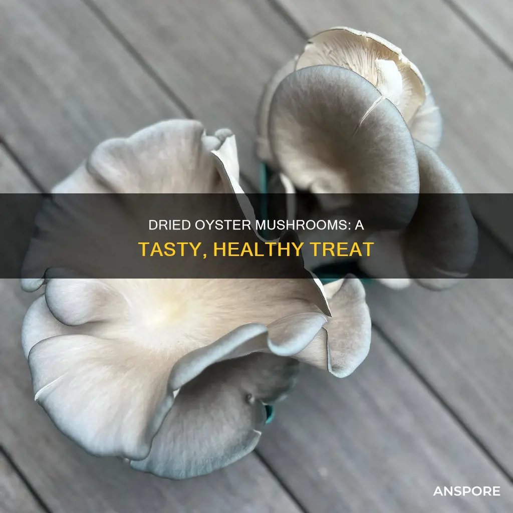what are dried oyster mushrooms