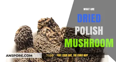 Explore the Magic of Dried Polish Mushrooms