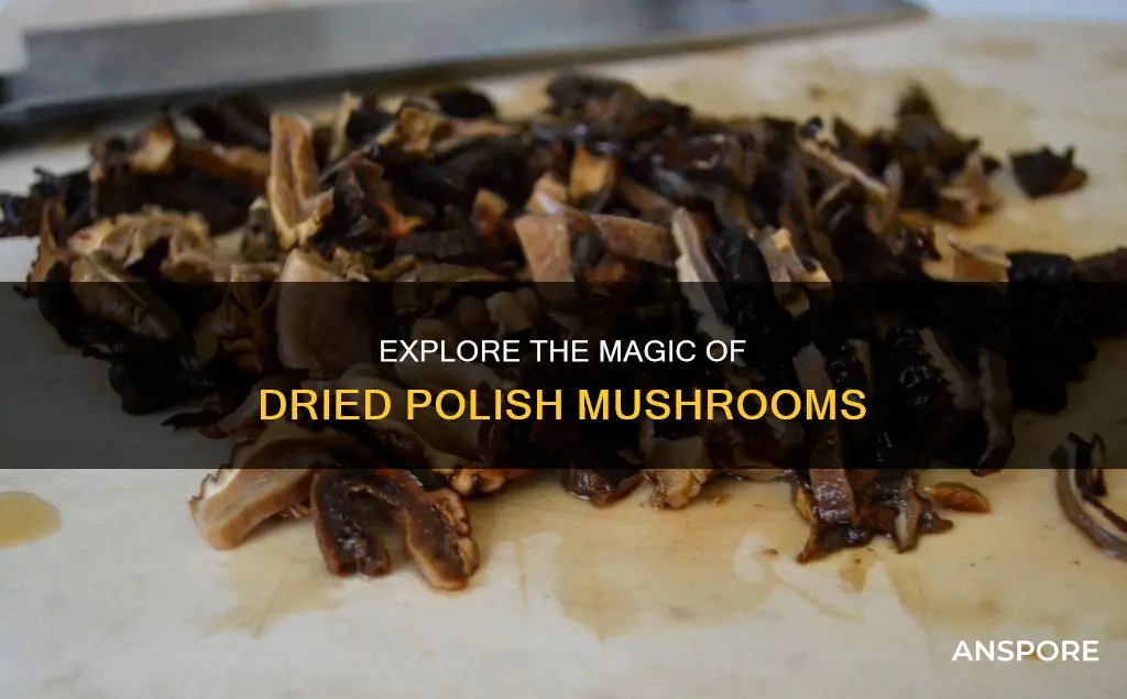 what are dried polish mushrooms
