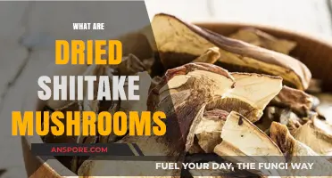 Shiitake Mushrooms: Dried and Delicious