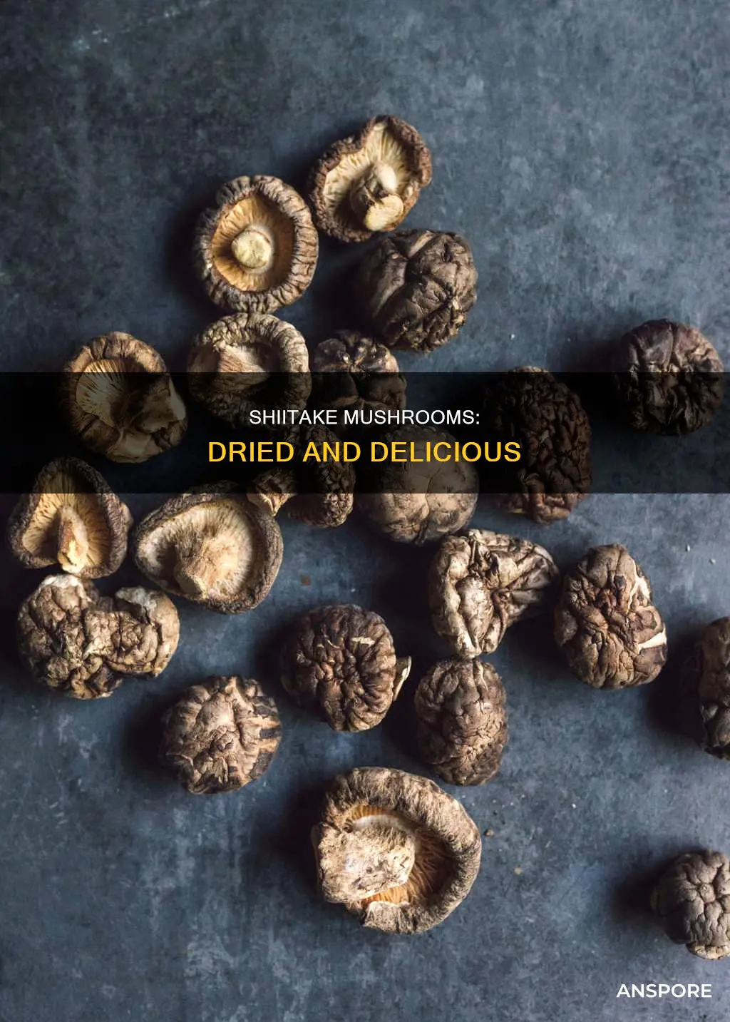what are dried shiitake mushrooms
