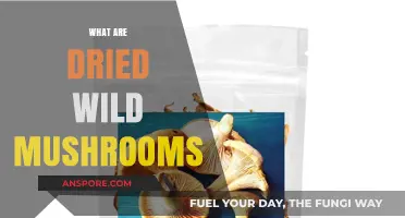 Wild Mushrooms: Dried and Delicious