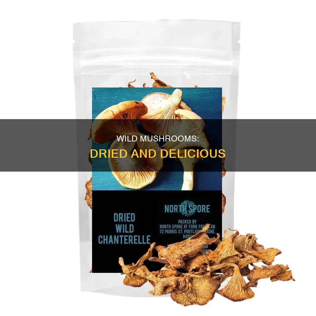 what are dried wild mushrooms