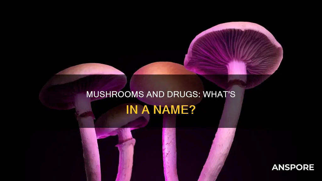 what are drug mushrooms called