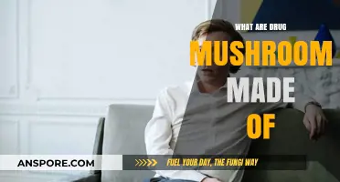 Unveiling the Composition of Drug Mushrooms: Key Ingredients Explained