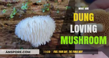 Mushrooms: Nature's Dung-Loving Decomposers