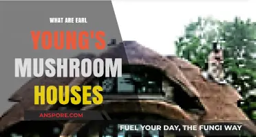 Earl Young's Mushroom Houses: Unique Architecture in Michigan's Charm