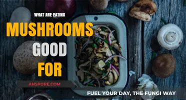 Health Benefits of Eating Mushrooms: Nutrition, Immunity, and Wellness Boost