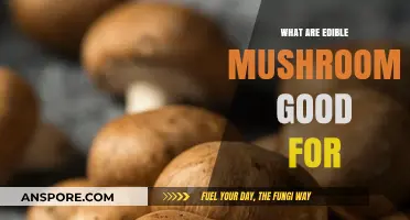 Health Benefits of Edible Mushrooms: Nutrition, Immunity, and Wellness Boost