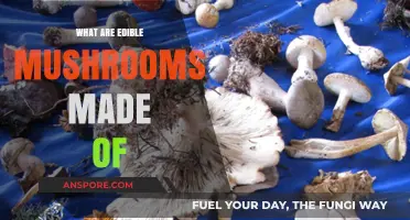 Exploring Edible Mushrooms: Composition, Nutrition, and Culinary Uses