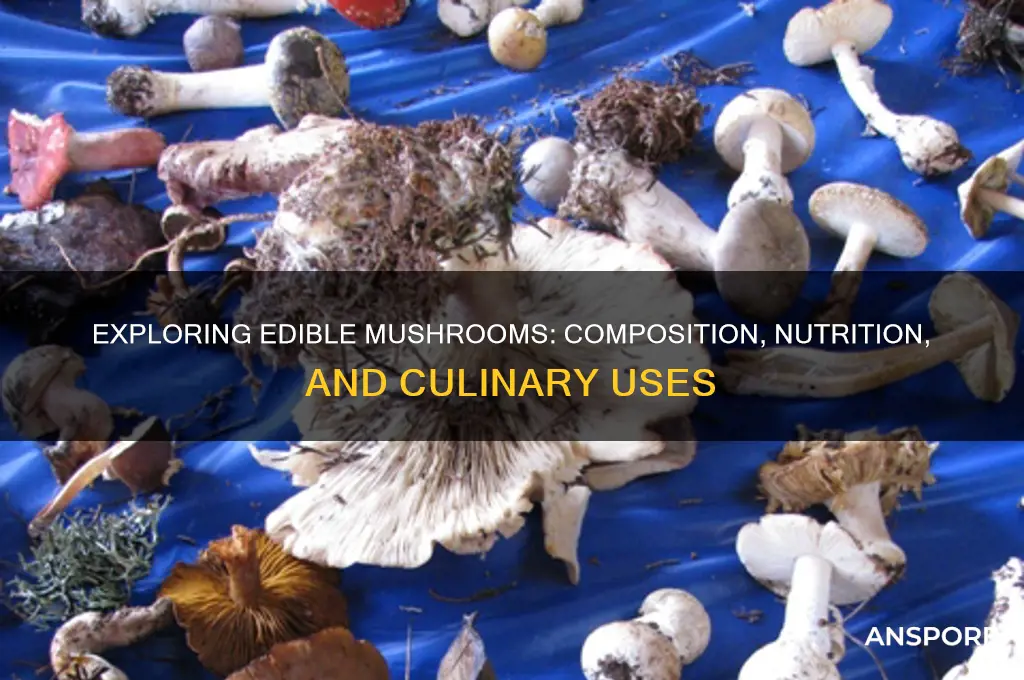 what are edible mushrooms made of