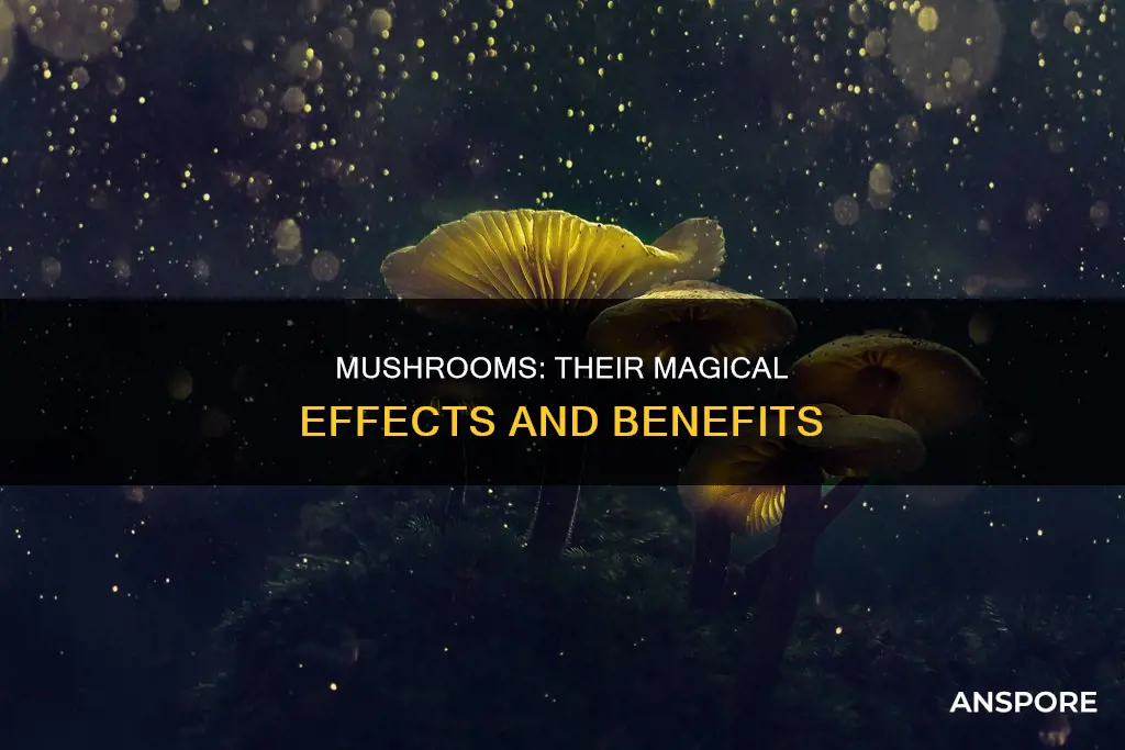 what are effectsof mushrooms