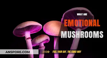 Mushrooms: Nature's Emotional Healers