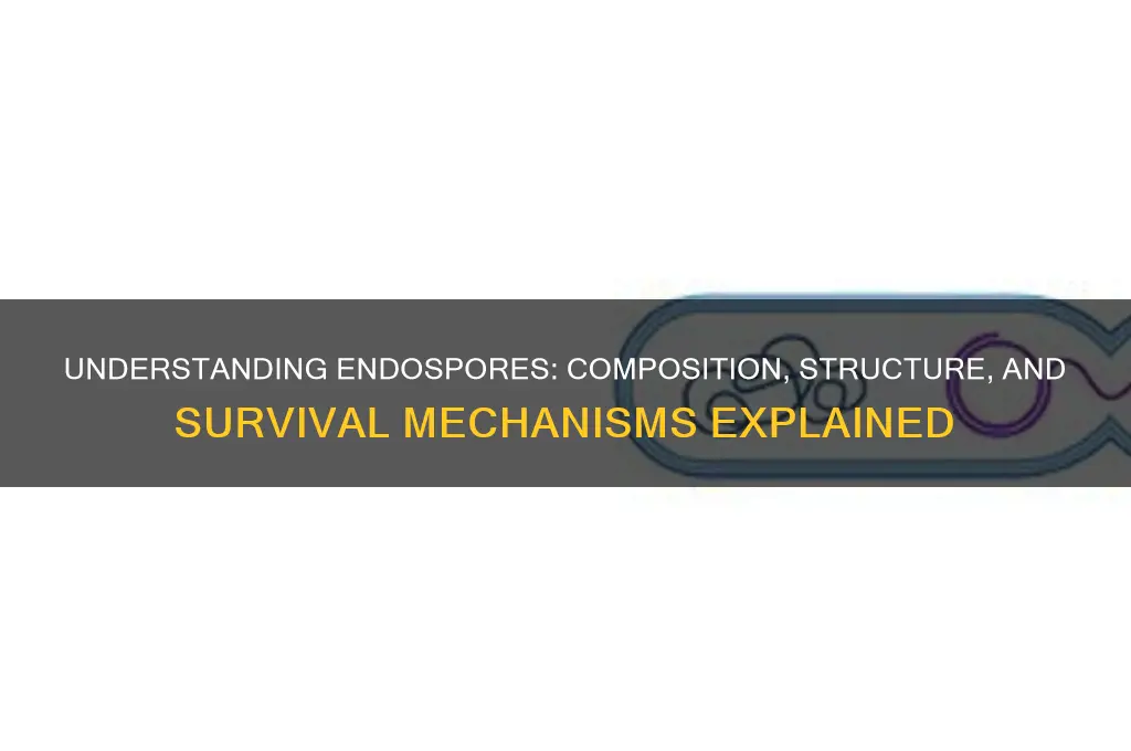 what are endo spores made of