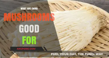Enoki Mushrooms: Health Benefits, Culinary Uses, and Nutritional Value